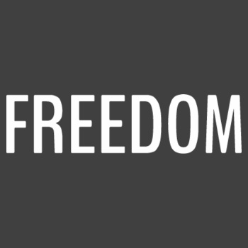 'FREEDOM' - Unisex Stonewash Tee Design